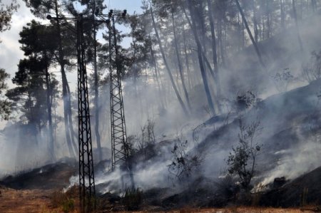 Suriye'den Türkiye'ye Geçen Yangın Kontrol Altına Alındı