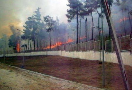 Suriye'den Türkiye'ye Geçen Yangın Kontrol Altına Alındı