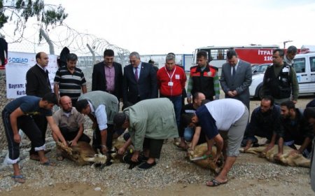 Suriyeli Türkmen göçmenler kurban eti ikramıyla sevindirildi