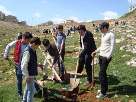 Suriyeliler ilgiye karşılıksız kalmadı, ‘Memnuniyet Ormanı’ oluşturdu