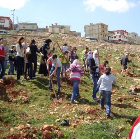 Suriyeliler ilgiye karşılıksız kalmadı, ‘Memnuniyet Ormanı’ oluşturdu