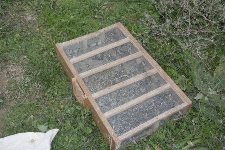 Suriyeliler Tarsus’ta kaçak av yaparken yakalandı