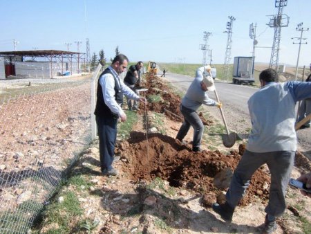 Suriyelilerin kaldığı çadır kent çevresi ağaçlandırılıyor