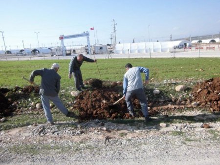 Suriyelilerin kaldığı çadır kent çevresi ağaçlandırılıyor