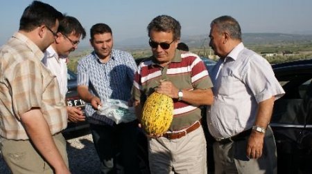 Sürücülere Kırkağaç Kavunu Dağıtıldı