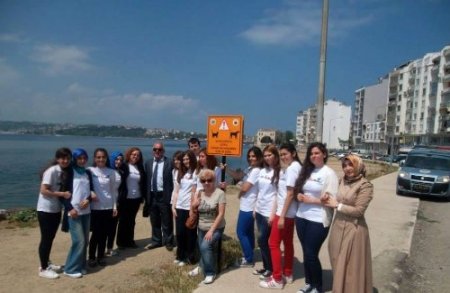 Sürücüye uyarı: Sokak hayvanlarını gör ve koru