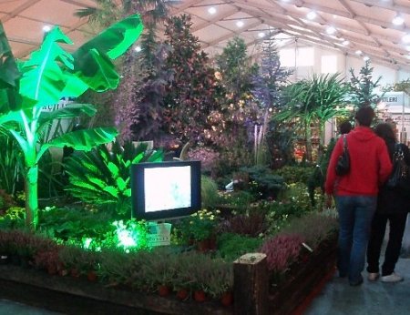 Süs Bitkisi Sektörü, 300 Bin Kişiye Dolaylı İstihdam Sağlıyor