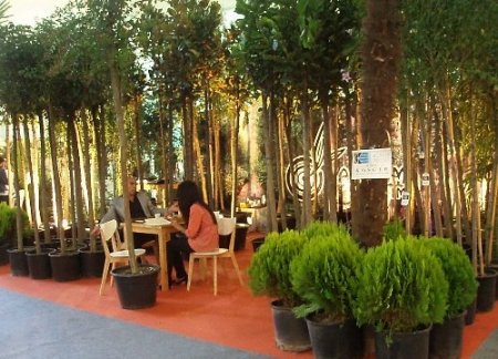 Süs Bitkisi Sektörü, 300 Bin Kişiye Dolaylı İstihdam Sağlıyor