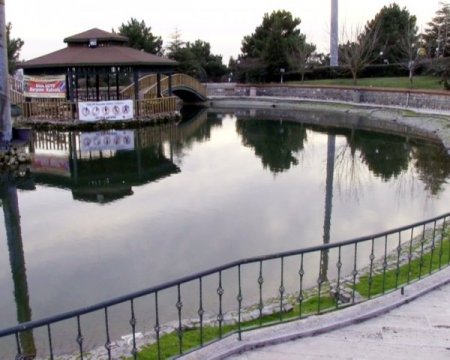 Süs Havuzuna Düşen Küçük Berat Yaşam Mücadelesi Veriyor