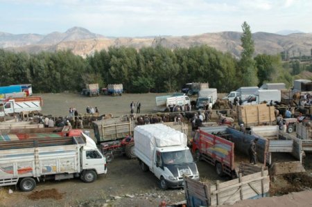 Suşehri hayvan pazarında kurbanlıklar görücüye çıktı