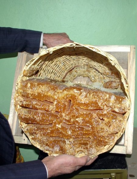 Suşehri'nde kara kovan balı altın değerinde