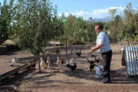 Suşehri'nde kurduğu hobi bahçesinde organik üretim yapıyor