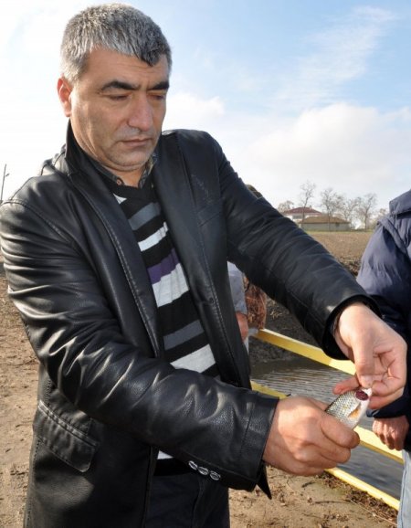 Suyu kirlenen derede balık ölümleri yaşanıyor