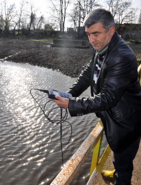 Suyu kirlenen derede balık ölümleri yaşanıyor
