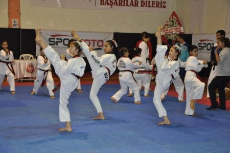Taekwondo Şampiyonası Amasya'da başladı