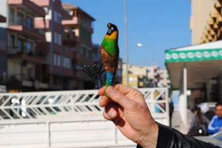 Tahta Kuşları, Turistlere Satarak Aile Bütçesine Katkı Sağlıyor