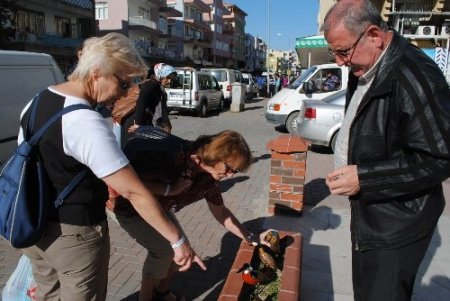 Tahta Kuşları, Turistlere Satarak Aile Bütçesine Katkı Sağlıyor