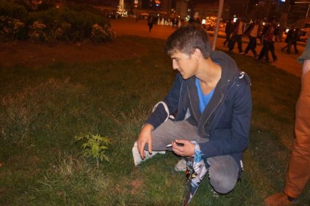 Taksim'de 'şüpheli ot' alarmı