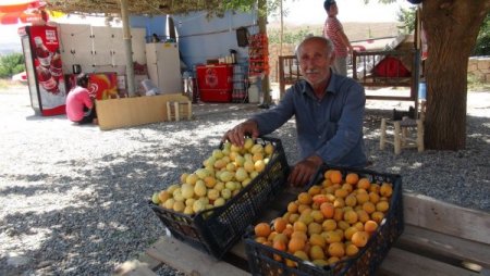 Talep Artınca Köylü Ürününü Pazarda Değil Yol Kenarında Satmaya Başladı