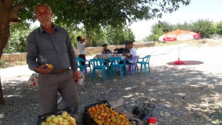 Talep Artınca Köylü Ürününü Pazarda Değil Yol Kenarında Satmaya Başladı