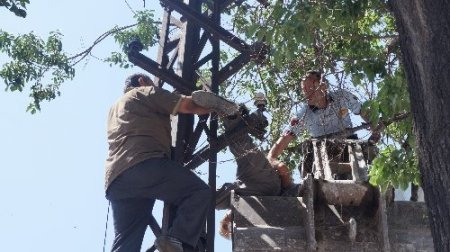 Tamir için çıktığı direkte elektrik çarpması sonucu hayatını kaybetti (Özel)