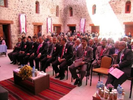 Tarihi Kentler Birliği'ne Üye Niksar'da Tarihi Yapıların Restorasyonu Sürüyor