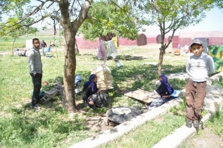 Tarım alanlarında çalışmak üzere Yozgat'a gelen işçiler çadırlarına yerleşti