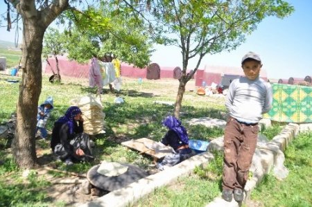 Tarım alanlarında çalışmak üzere Yozgat'a gelen işçiler çadırlarına yerleşti