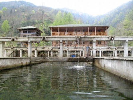 Tarım İl Müdürü Çekiç: Rize’ye 2010'da 140 Milyon 707 Bin Lira Destek Sağlandı