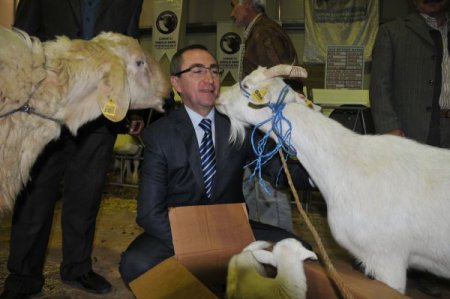 Tarım ve hayvancılık sektörü Çorum'da buluştu