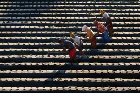 'tarım Ve İnsan' Konulu Fotoğraf Yarışması Sonuçlandı