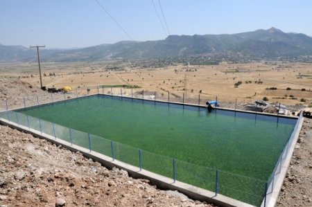 Tarlalarına Su Geldi, Kazançları 12 Kat Arttı