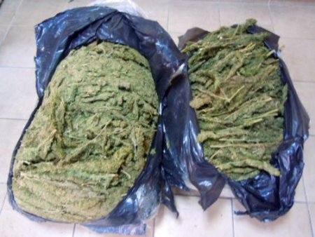 Tarsus’ta 40 kilo esrar ele geçirildi