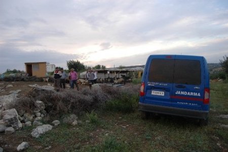 Tarsus'ta hayvan hırsızlığı operasyonunda çete lideri yakalandı