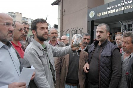 Tarsus’ta tarım ilaçlarının milyonlarca arıyı öldürdüğü iddia edildi