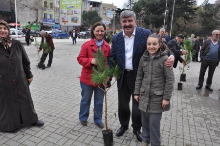 Tartar fidan dağıttı