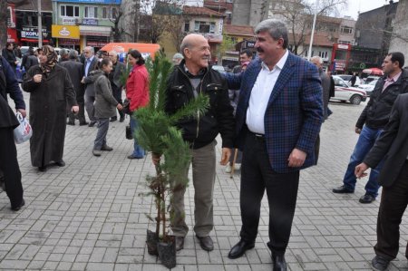 Tartar fidan dağıttı