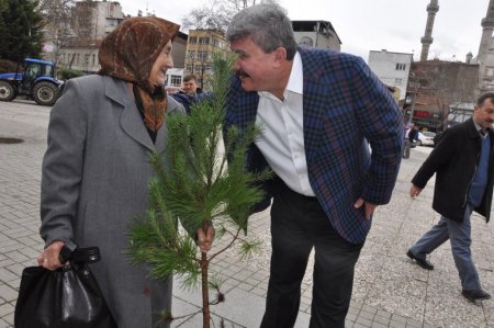 Tartar fidan dağıttı