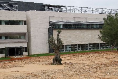 Tartışmalı Rektörlük Binasına 7 Bin 500 Liraya Üç Zeytin Ağacı Alındı
