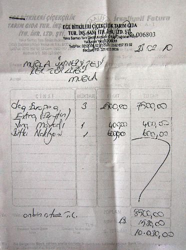 Tartışmalı Rektörlük Binasına 7 Bin 500 Liraya Üç Zeytin Ağacı Alındı