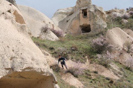 Taş Orman'da Oryantring heyecanı sürüyor
