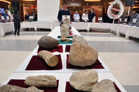 Taşların gizemli dünyasına yolculuk