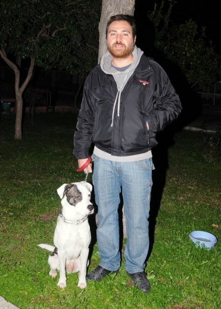Tasmasız Pitbul Cinsi Köpeğe El Konuldu