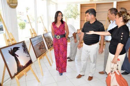 Taşucu festivalli amacına ulaştı