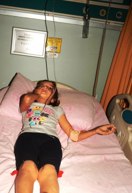 Tatarcık sineğinin ısırdığı mahalleli hastanelere akın etti