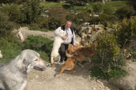 Tatilde hevesle alınan hayvanların çoğu terkediliyor