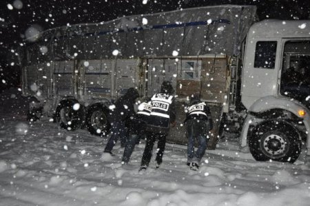 Tatvan’da 255 bin paket kaçak sigara ele geçirildi