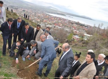 Tatvan’da Kutlu Doğum adına 571 ağaç toprakla buluştu