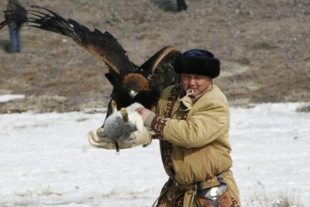 Tavşan ve tilkilerin korkulu rüyası avcı kartallar nefes kesti