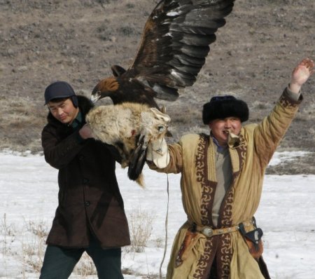 Tavşan ve tilkilerin korkulu rüyası avcı kartallar nefes kesti
